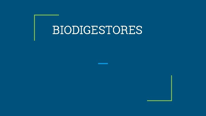 BIODIGESTORES 