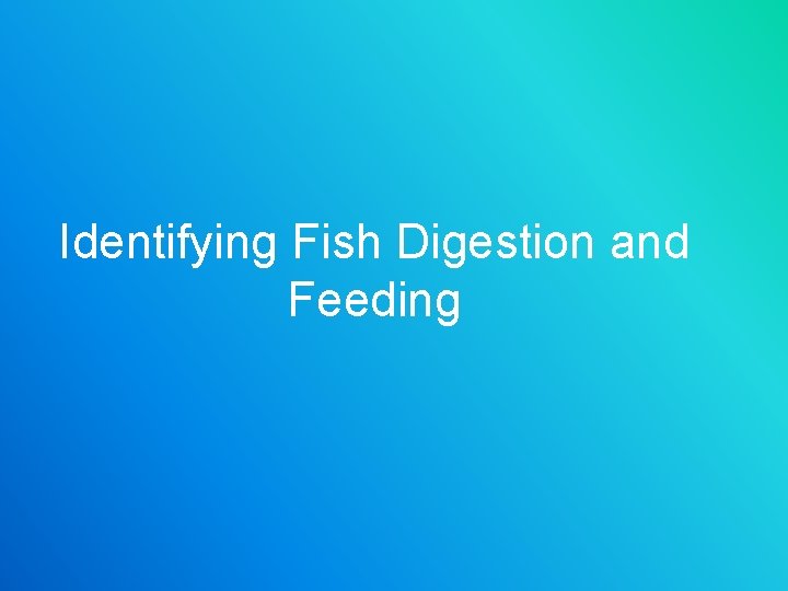 Identifying Fish Digestion and Feeding 