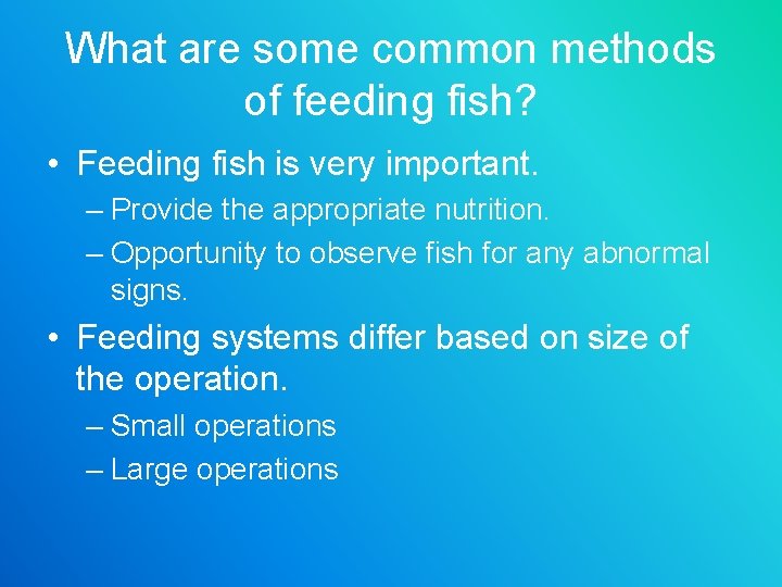 What are some common methods of feeding fish? • Feeding fish is very important.