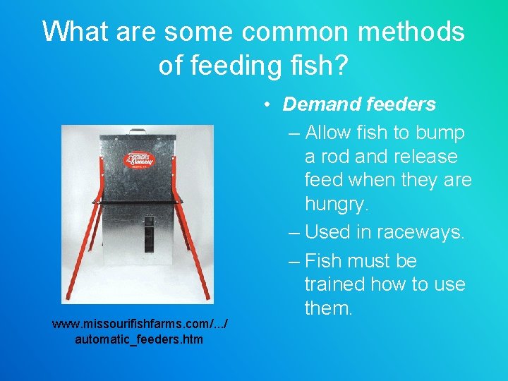 What are some common methods of feeding fish? www. missourifishfarms. com/. . . /