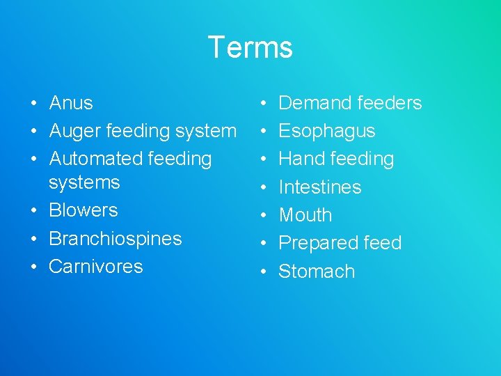 Terms • Anus • Auger feeding system • Automated feeding systems • Blowers •