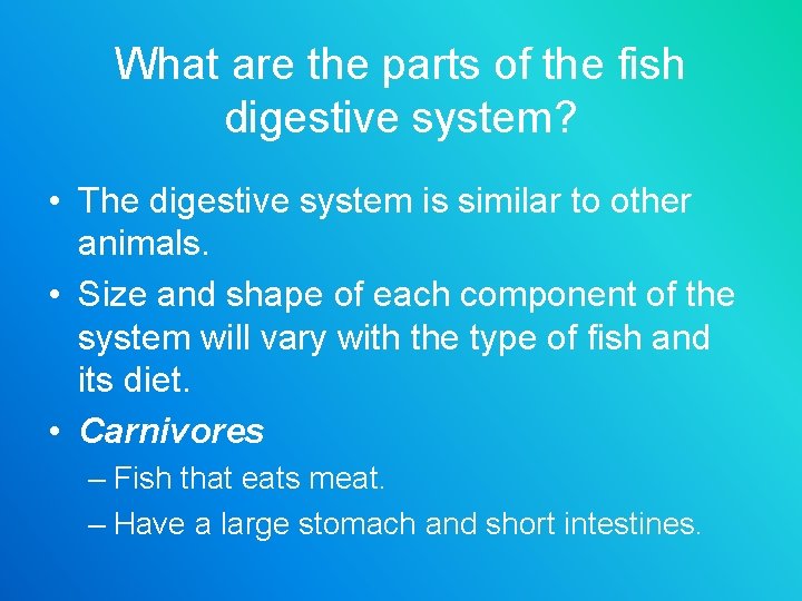 What are the parts of the fish digestive system? • The digestive system is