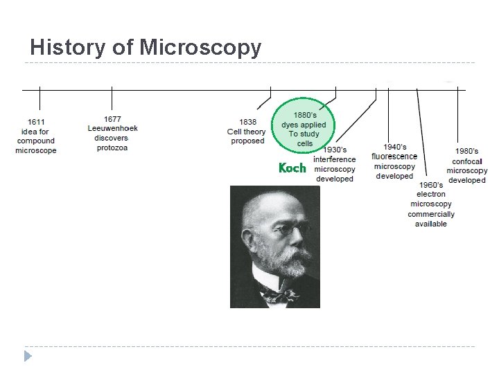 History of Microscopy Koch 