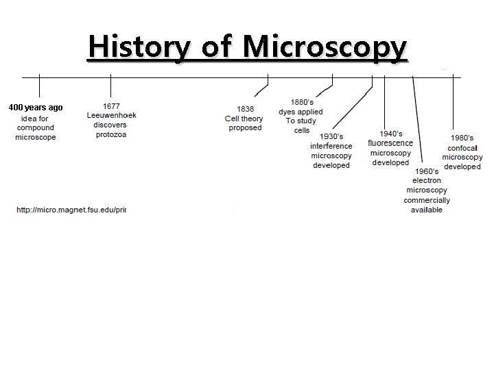 History of Microscopy 400 years ago 