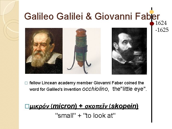 Galileo Galilei & Giovanni Faber 1624 -1625 � fellow Lincean academy member Giovanni Faber