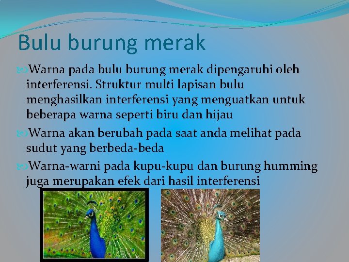 Bulu burung merak Warna pada bulu burung merak dipengaruhi oleh interferensi. Struktur multi lapisan Bulu burung merak Warna pada bulu burung merak dipengaruhi oleh interferensi. Struktur multi lapisan