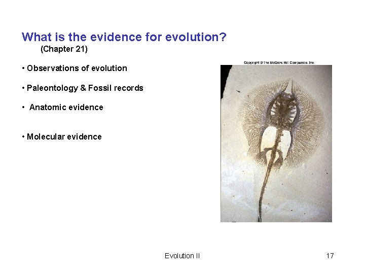 What is the evidence for evolution? (Chapter 21) • Observations of evolution • Paleontology