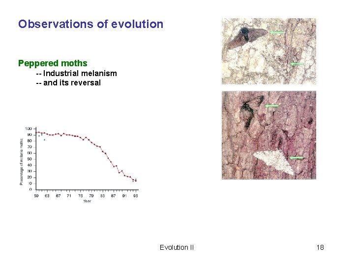 Observations of evolution Peppered moths -- Industrial melanism -- and its reversal Evolution II