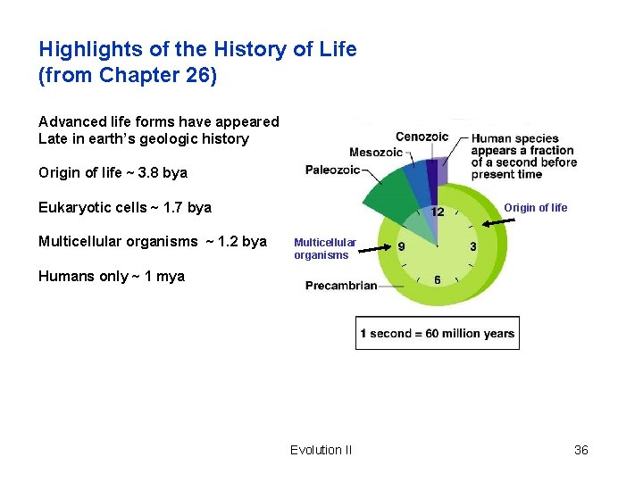 Highlights of the History of Life (from Chapter 26) Advanced life forms have appeared