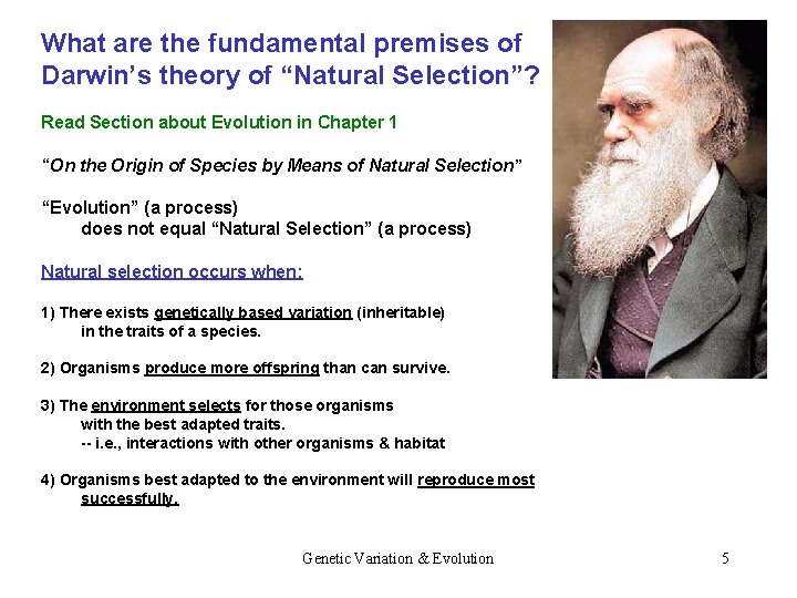 What are the fundamental premises of Darwin’s theory of “Natural Selection”? Read Section about