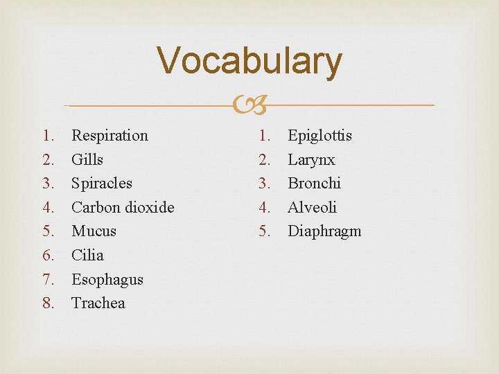 Vocabulary 1. 2. 3. 4. 5. 6. 7. 8. Respiration Gills Spiracles Carbon dioxide Vocabulary 1. 2. 3. 4. 5. 6. 7. 8. Respiration Gills Spiracles Carbon dioxide