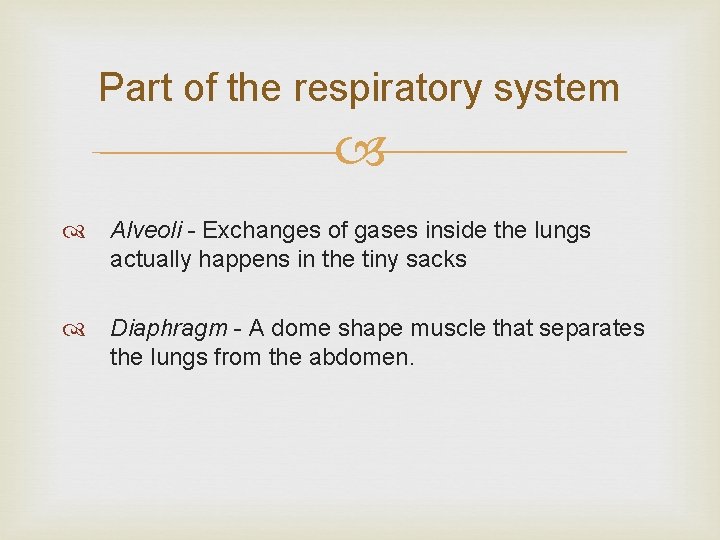 Part of the respiratory system Alveoli - Exchanges of gases inside the lungs actually Part of the respiratory system Alveoli - Exchanges of gases inside the lungs actually