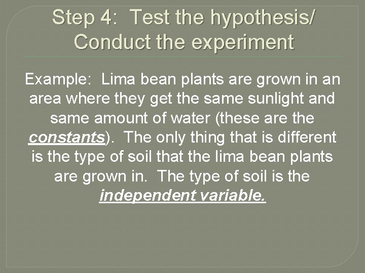 Step 4: Test the hypothesis/ Conduct the experiment Example: Lima bean plants are grown