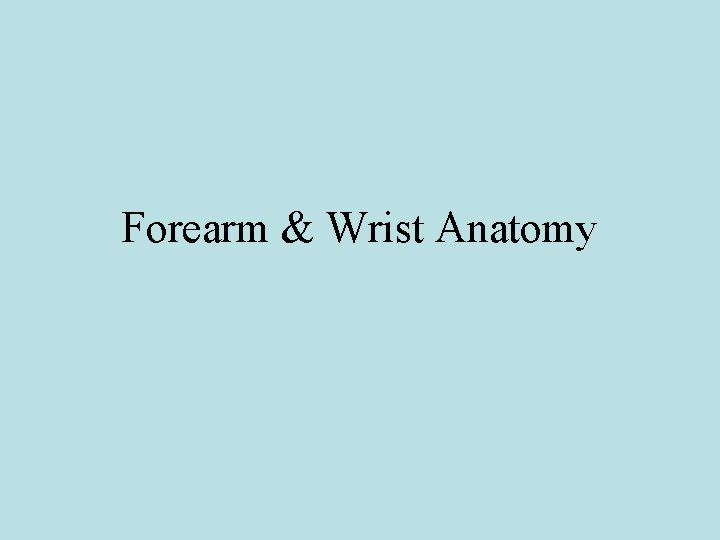 Forearm & Wrist Anatomy 