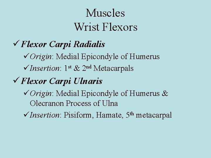 Muscles Wrist Flexors ü Flexor Carpi Radialis üOrigin: Medial Epicondyle of Humerus üInsertion: 1