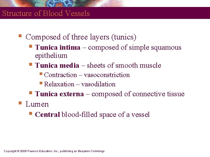 Structure of Blood Vessels § Composed of three layers (tunics) § Tunica intima –