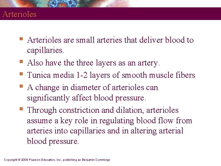 Arterioles § § § Arterioles are small arteries that deliver blood to capillaries. Also
