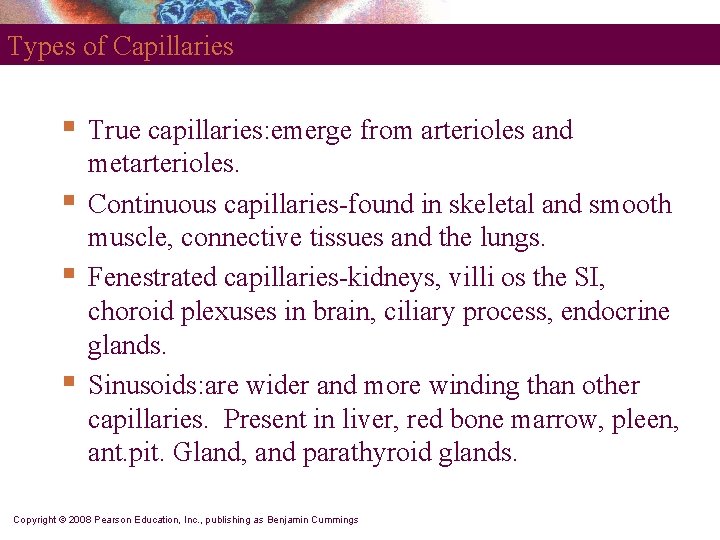 Types of Capillaries § § True capillaries: emerge from arterioles and metarterioles. Continuous capillaries-found