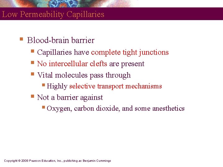 Low Permeability Capillaries § Blood-brain barrier § Capillaries have complete tight junctions § No