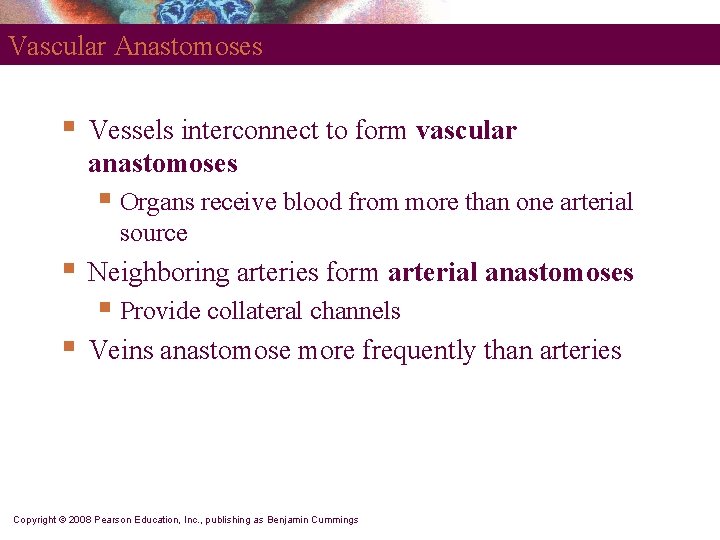 Vascular Anastomoses § Vessels interconnect to form vascular anastomoses § Organs receive blood from
