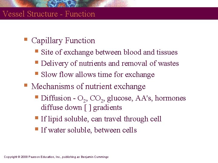 Vessel Structure - Function § Capillary Function § Site of exchange between blood and