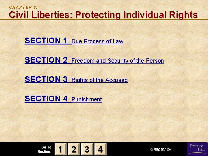 C H A P T E R 20 Civil Liberties: Protecting Individual Rights SECTION