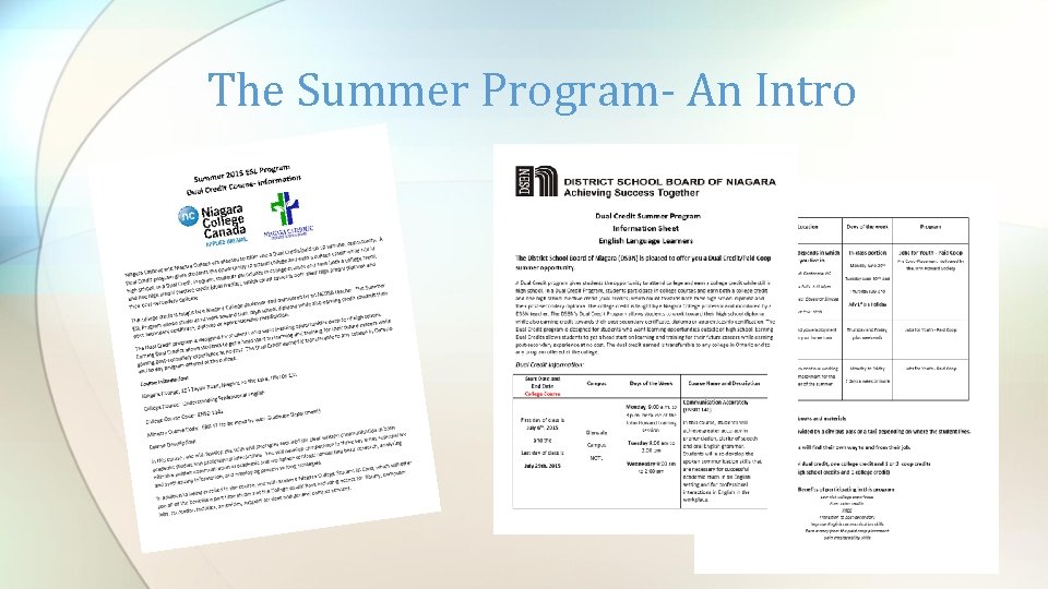 The Summer Program- An Intro 