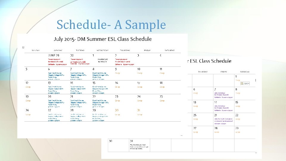 Schedule- A Sample 