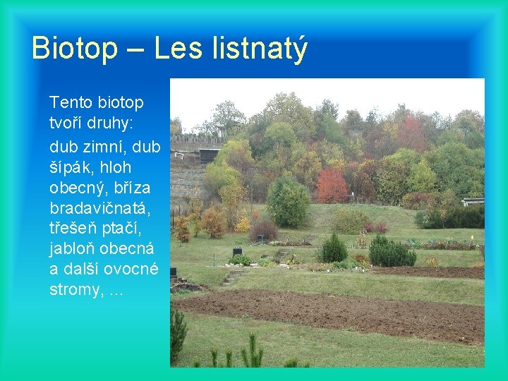 Biotop – Les listnatý Tento biotop tvoří druhy: dub zimní, dub šípák, hloh obecný,