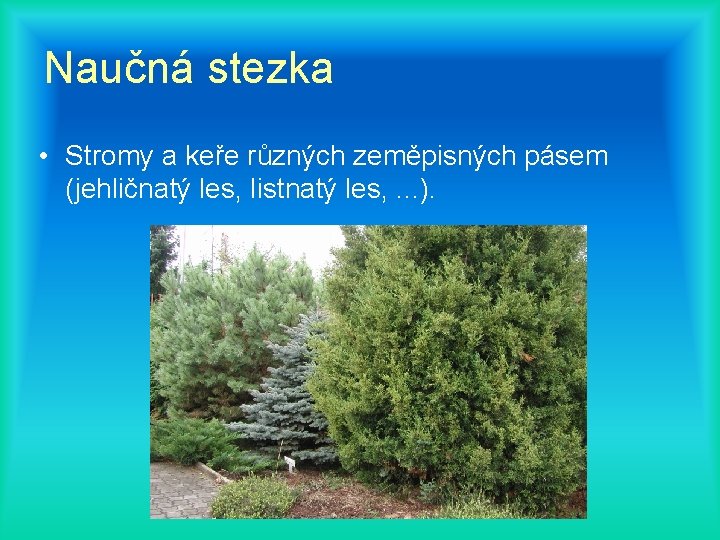 Naučná stezka • Stromy a keře různých zeměpisných pásem (jehličnatý les, listnatý les, .