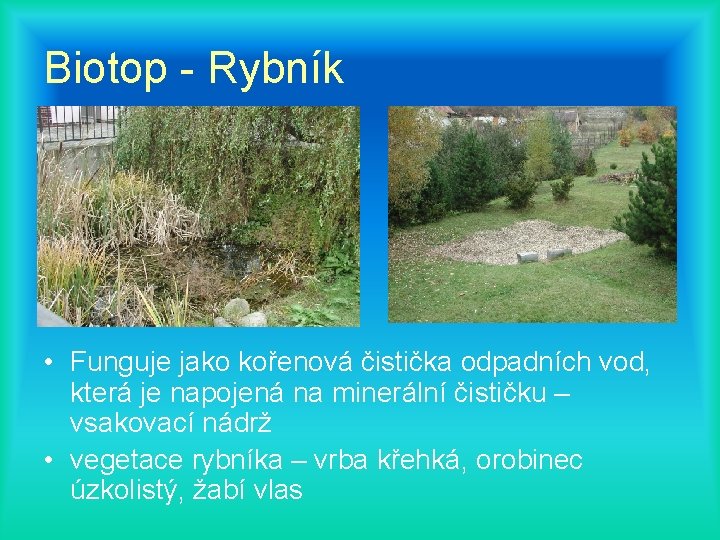 Biotop - Rybník • Funguje jako kořenová čistička odpadních vod, která je napojená na