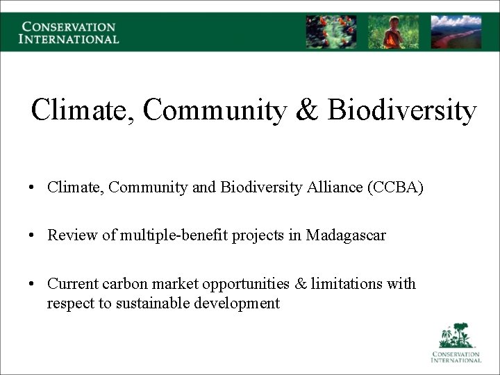 Climate, Community & Biodiversity • Climate, Community and Biodiversity Alliance (CCBA) • Review of