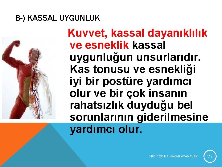 B-) KASSAL UYGUNLUK Kuvvet, kassal dayanıklılık ve esneklik kassal uygunluğun unsurlarıdır. Kas tonusu ve B-) KASSAL UYGUNLUK Kuvvet, kassal dayanıklılık ve esneklik kassal uygunluğun unsurlarıdır. Kas tonusu ve