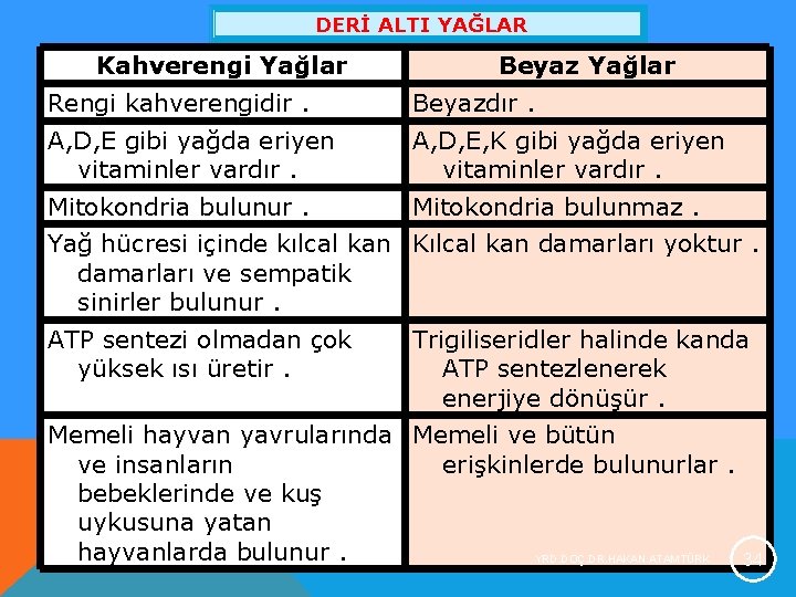 DERİ ALTI YAĞLAR Kahverengi Yağlar Beyaz Yağlar Rengi kahverengidir. Beyazdır. A, D, E gibi DERİ ALTI YAĞLAR Kahverengi Yağlar Beyaz Yağlar Rengi kahverengidir. Beyazdır. A, D, E gibi