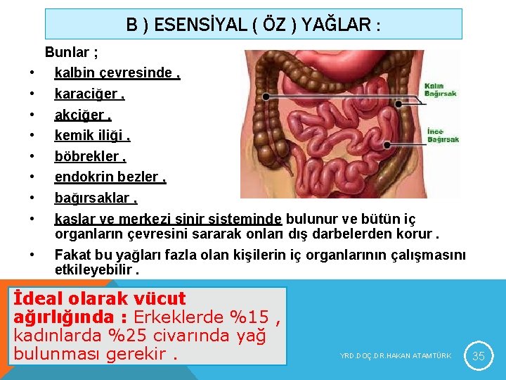 B ) ESENSİYAL ( ÖZ ) YAĞLAR : • • • Bunlar ; kalbin B ) ESENSİYAL ( ÖZ ) YAĞLAR : • • • Bunlar ; kalbin