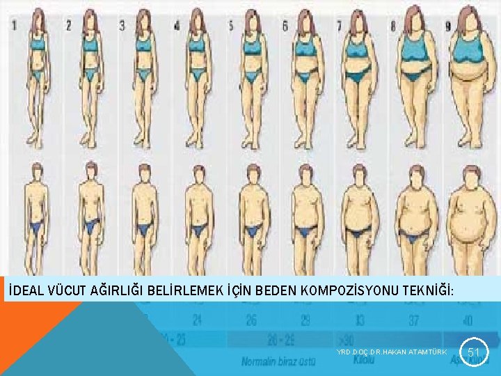 İDEAL VÜCUT AĞIRLIĞI BELİRLEMEK İÇİN BEDEN KOMPOZİSYONU TEKNİĞİ: YRD. DOÇ. DR. HAKAN ATAMTÜRK 51 İDEAL VÜCUT AĞIRLIĞI BELİRLEMEK İÇİN BEDEN KOMPOZİSYONU TEKNİĞİ: YRD. DOÇ. DR. HAKAN ATAMTÜRK 51