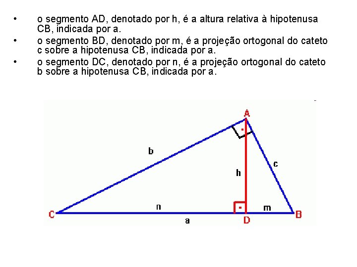  • • • o segmento AD, denotado por h, é a altura relativa