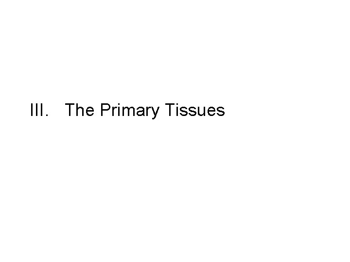 III. The Primary Tissues 