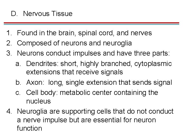 D. Nervous Tissue 1. Found in the brain, spinal cord, and nerves 2. Composed