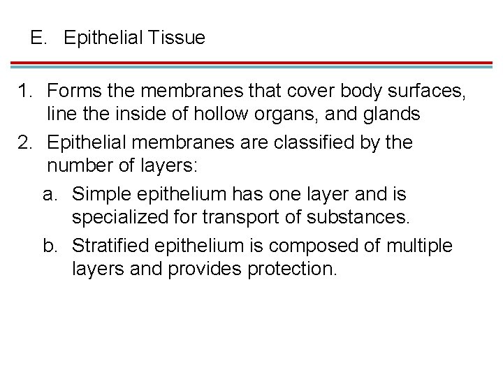 E. Epithelial Tissue 1. Forms the membranes that cover body surfaces, line the inside