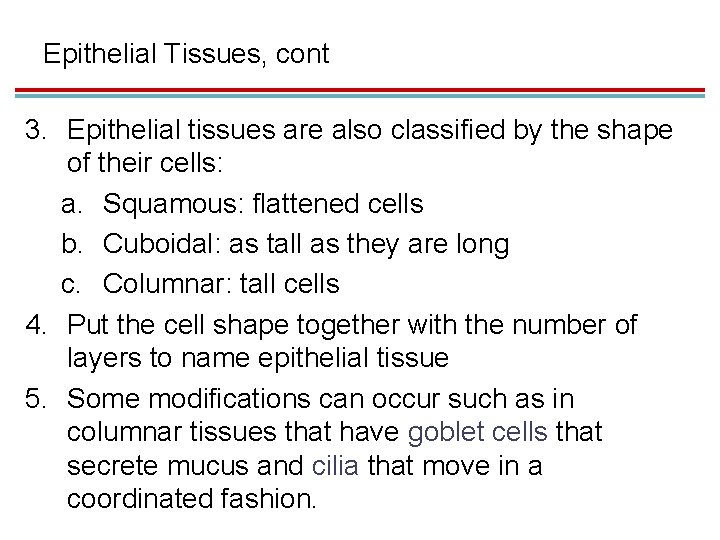 Epithelial Tissues, cont 3. Epithelial tissues are also classified by the shape of their