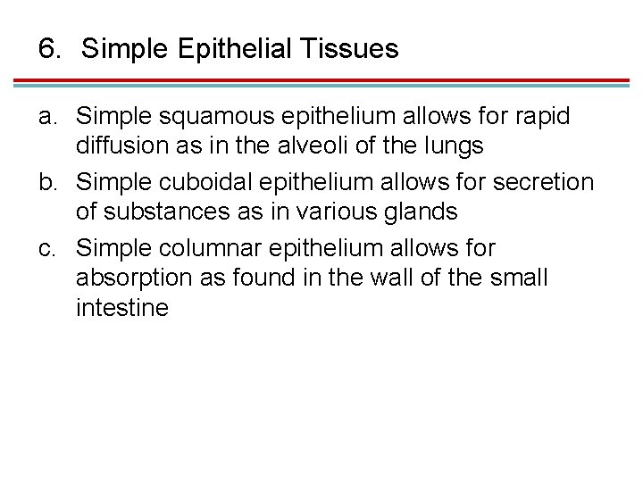 6. Simple Epithelial Tissues a. Simple squamous epithelium allows for rapid diffusion as in