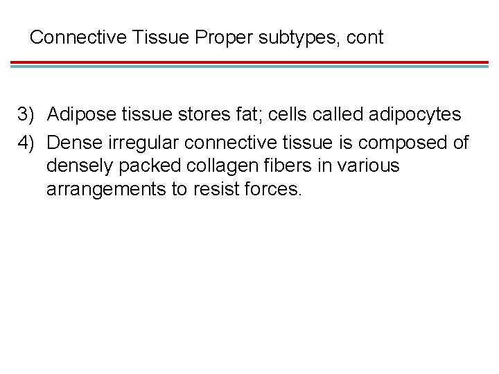 Connective Tissue Proper subtypes, cont 3) Adipose tissue stores fat; cells called adipocytes 4)