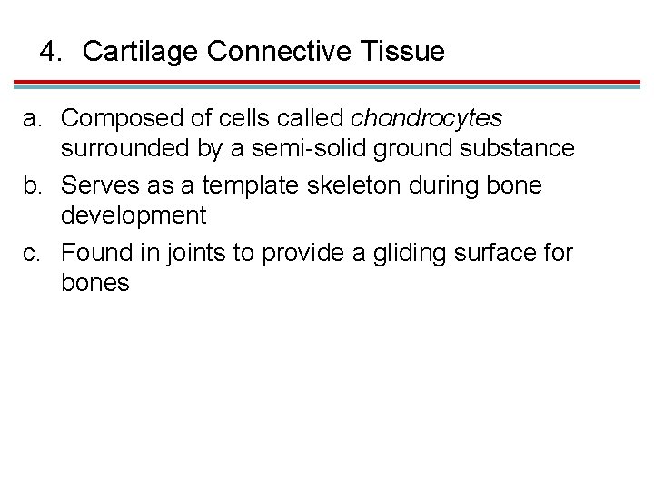 4. Cartilage Connective Tissue a. Composed of cells called chondrocytes surrounded by a semi-solid