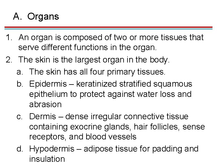 A. Organs 1. An organ is composed of two or more tissues that serve