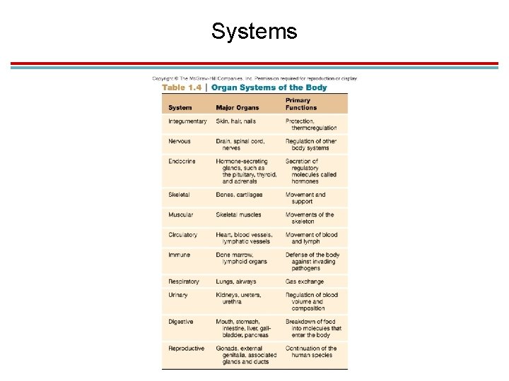 Systems 