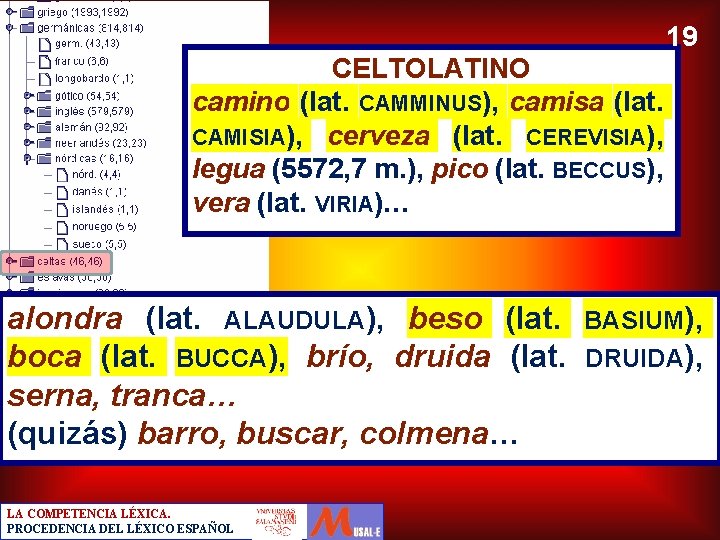 19 CELTOLATINO camino (lat. CAMMINUS), camisa (lat. CAMISIA), cerveza (lat. CEREVISIA), legua (5572, 7