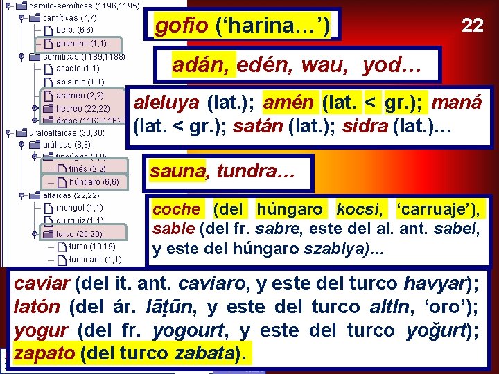 gofio (‘harina…’) 22 adán, edén, wau, yod… aleluya (lat. ); amén (lat. < gr.