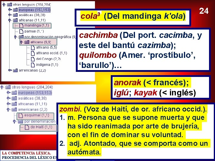 cola 3 (Del mandinga k'ola) 24 cachimba (Del port. cacimba, y este del bantú