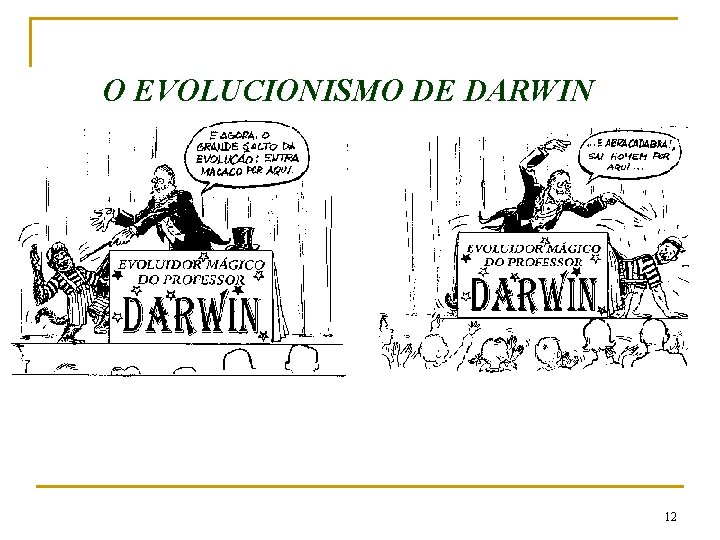 O EVOLUCIONISMO DE DARWIN 12 